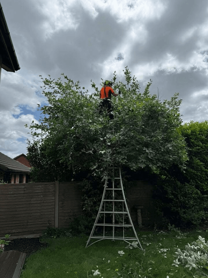 First Choice Home Service project 1